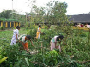 Working hard to clear up after the cyclone (photo Liz Pain) (Liz Pain)