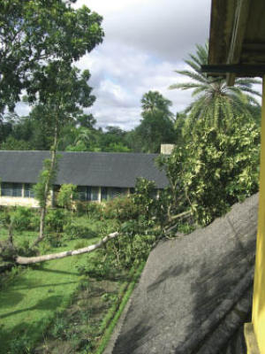 Another example of cyclone damage