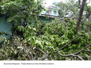 Arunima Hospice - Trees fallen on the children's Dorm. (Diocese of Calcutta)