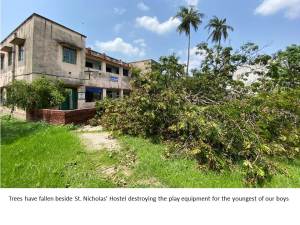 Trees have fallen beside St. Nicholas Hostel (Diocese of Calcutta)